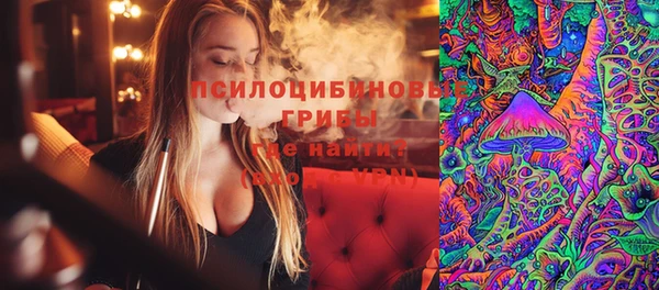 прущий лед Богородицк
