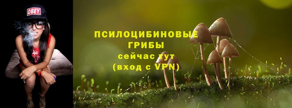 наркотики Богородск