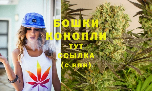 не бодяженный Бородино