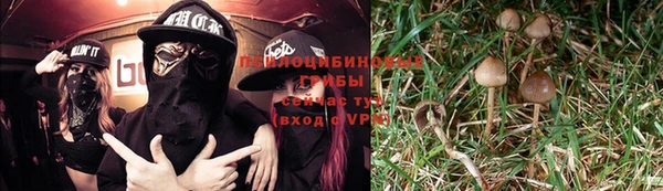 СК Семёнов