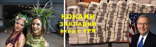 не бодяженный Бородино