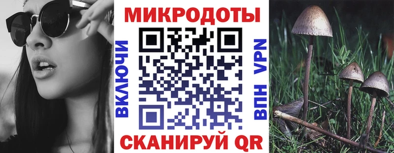где купить наркоту  Медынь  Псилоцибиновые грибы мицелий 